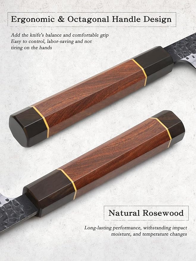 HOSHANHO Sushi Knife Japanese Sashimi Knives 10 Inch, Hand Forged High Carbon Steel Yanagiba Knife, Kitchen Chef Knives for Cutting Sushi & Sashimi, Fish Filleting