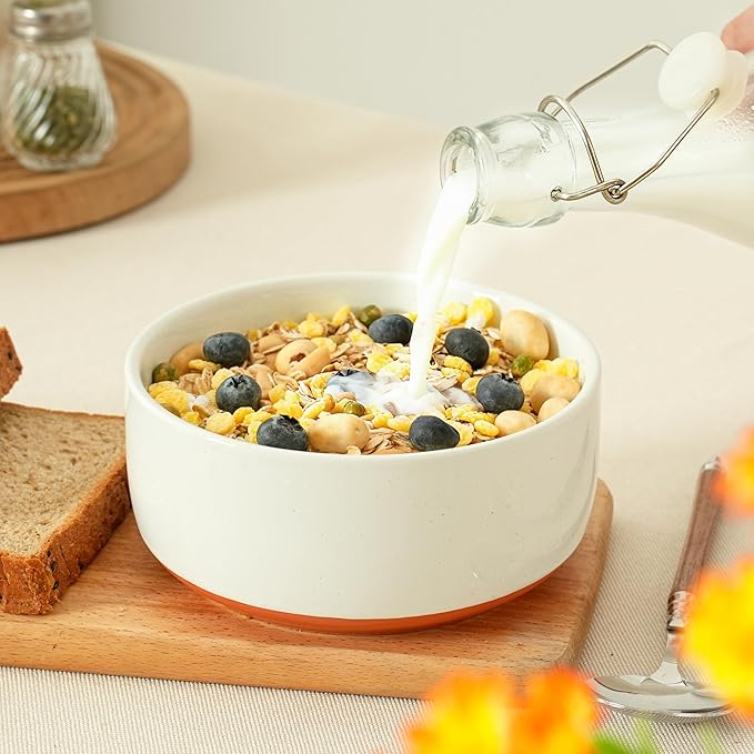 Stoneware Cereal Bowls Set of 4, 6 Inch Deep Bowl for Oatmeal, Soup, Ceramic Bowls Sets, Microwave Safe, Dishwasher Safe, Versatile for All Seasons, Stardust Glaze White