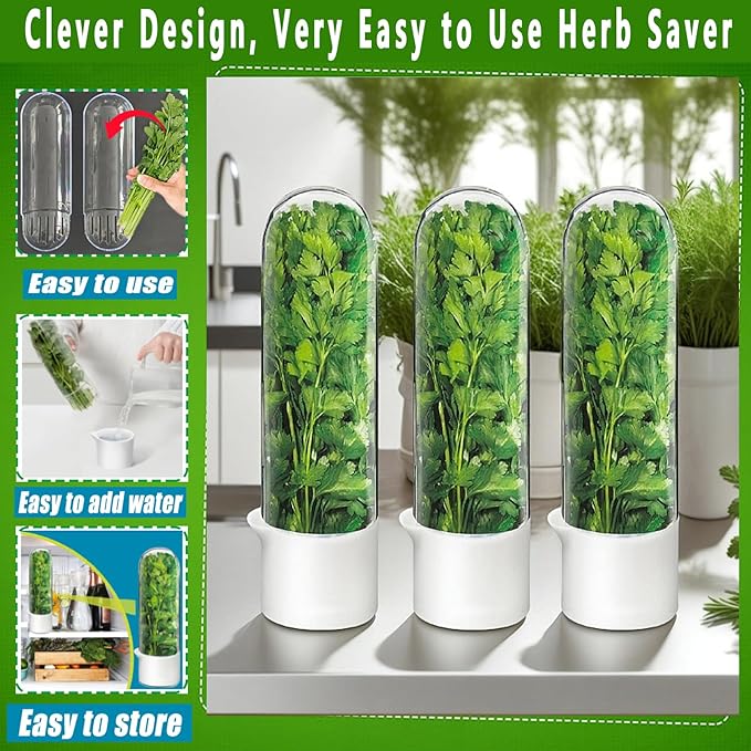 Cilantro Container for Fridge, Herb Saver for Refrigerator - Fresh Herb Keeper for Cilantro, Basil, Asparagus, Parsley, Keeps Greens Vegetables for 2-3 Weeks (1PCS)