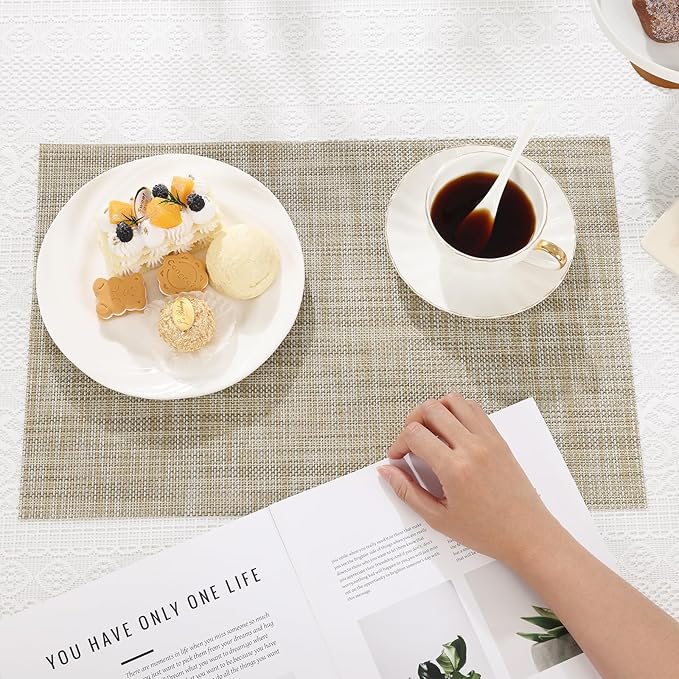 SHACOS Placemats Set of 6 Woven Vinyl Place Mats Wipeable Heat Resistant Stain Resistant Table Mats Indoor Outdoor, Beige