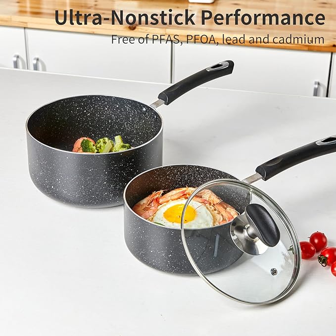 Nonstick Saucepan Set with Lid, Non Stick 2Qt & 3Qt Sauce Pan Set with Glass Lid Small Pot for Home Kitchen