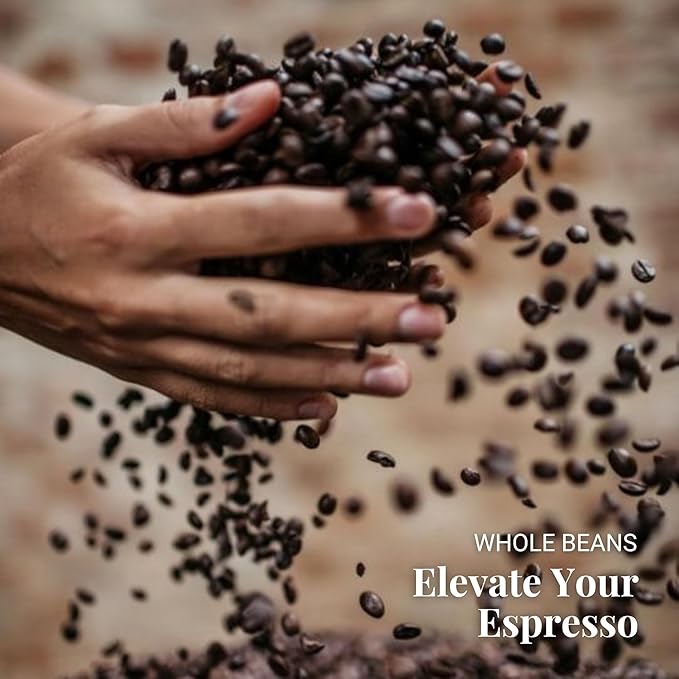 Caffe Vergnano 1882 Antica Bottega Whole Bean Arabica Medium Roast Espresso, 1.1 lbs Bag - Italian Coffee Beans with notes of Chocolate, Nuts & Caramel, Intensity 5/10-500g Bag (6 Pack)