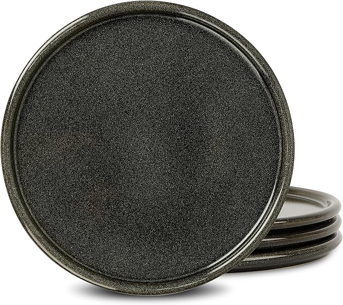 Stone Lain Eden 4-Piece Dinner Plate Set Stoneware, Charcoal Grey