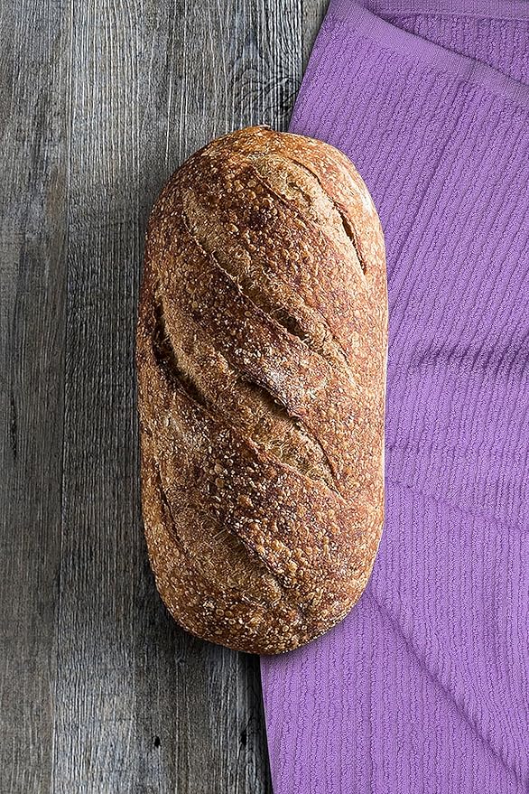 Softolle Bar Mop Towels, Pack of 12-16x19 Inches - 100% Cotton Super Absorbent Towels, Multi-Purpose for Home and Bar Cleaning (Purple)