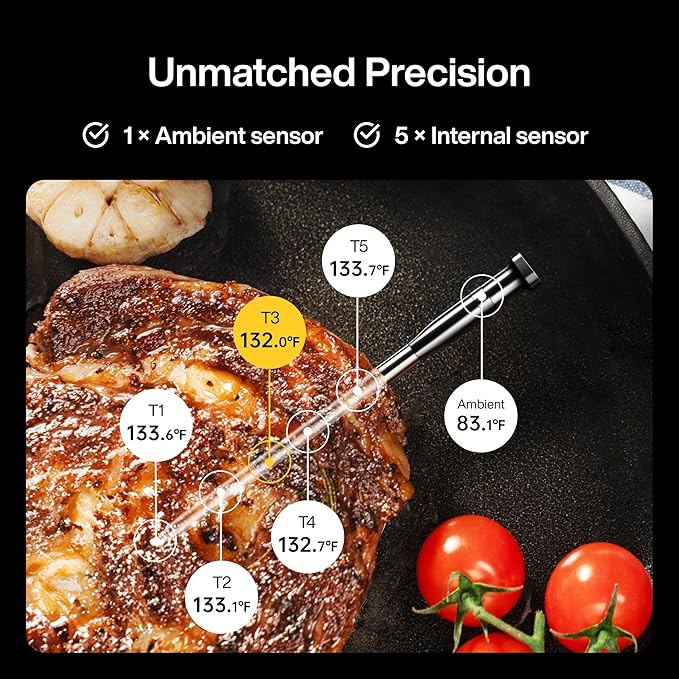 Typhur Sync One Smart Wireless Meat Thermometer: Standalone Base with LCD Display, Unlimited WiFi & Bluetooth Range, Enhanced Signal Stability for BBQ, Grill, Oven, and Smoker