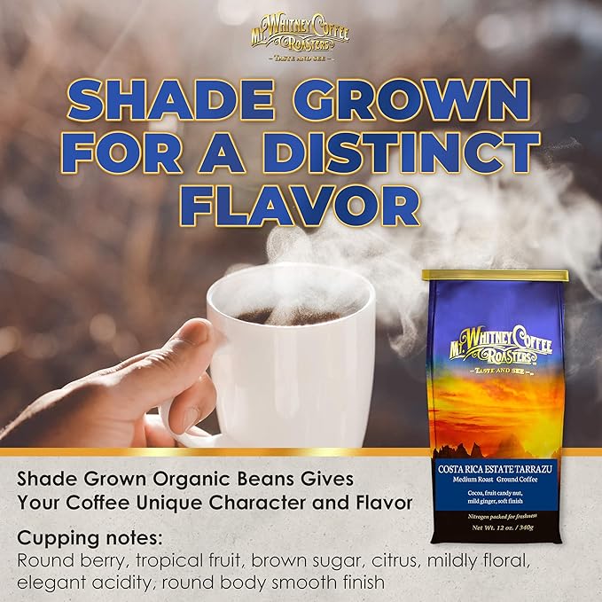 Mt. Whitney Costa Rica Estate Tarrazu Low Acid Coffee (Ground, 12 Oz)