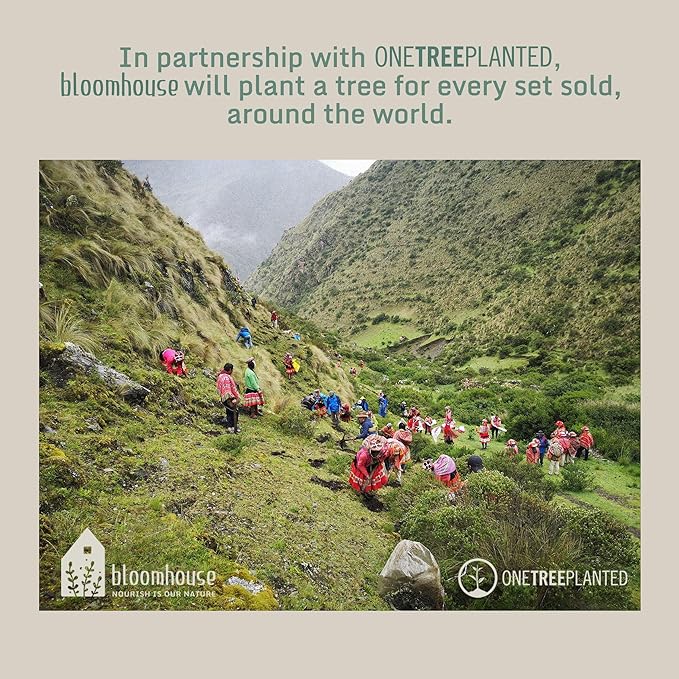 Bloomhouse - Two Time Oprah's Favorite Things Winner - Corsica Clay 4-Piece Mug Set – Burnt Apricot Terracotta Stoneware Coffee & Tea Cups, Durable Ceramic Drinkware