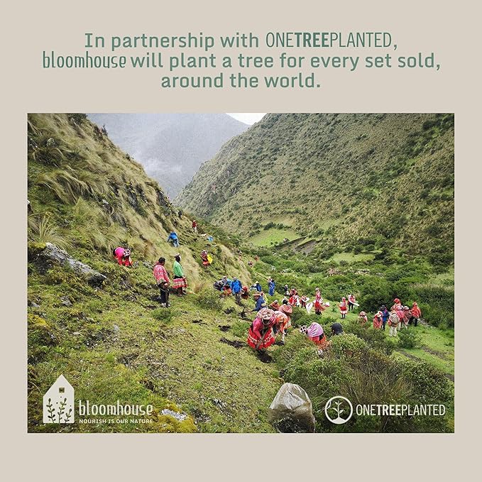 Bloomhouse - Two Time Oprah's Favorite Things Winner - Corsica Clay 4-Piece Meal and Pasta Bowl Set – Prosecco Blush Pink Stoneware for Dinner, Serving & Everyday Use